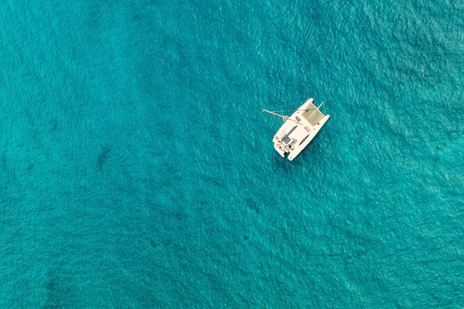 Catamaran Half Day - Beautiful day on the Atlantic Ocean - Drinks, snacks, Wi-Fi, and the social mood