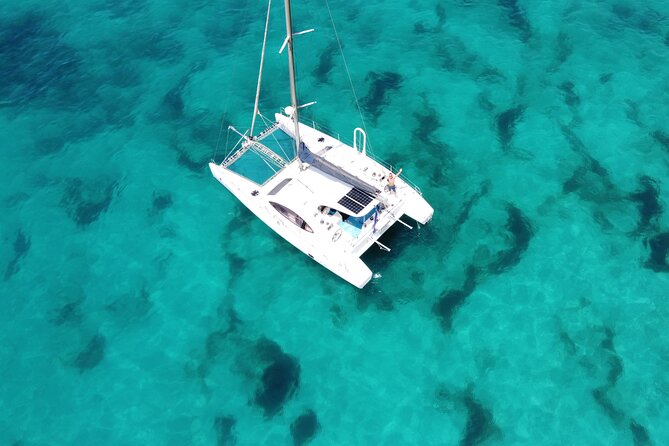 Catamaran Half Day - Beautiful day on the Atlantic Ocean - Who will enjoy this cruise most?