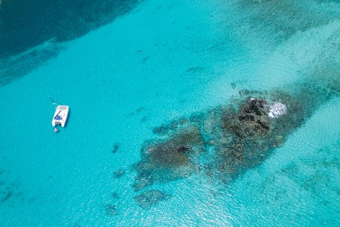 Catamaran Sailing Tour or Whale Watching at Boa Vista - Five details that shape the experience