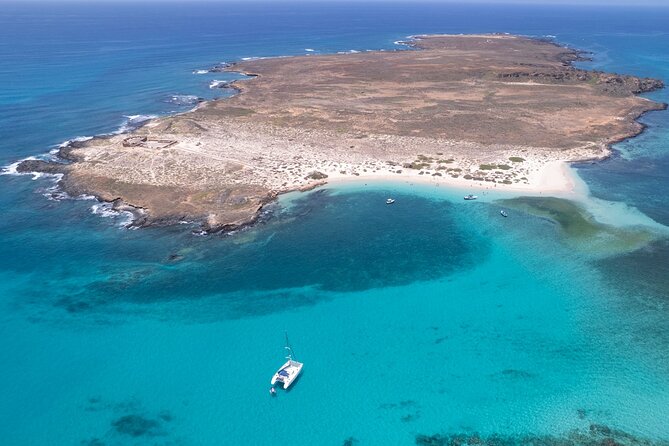 Catamaran Sailing Tour or Whale Watching at Boa Vista - Why the eight-person limit matters on a 13-meter catamaran