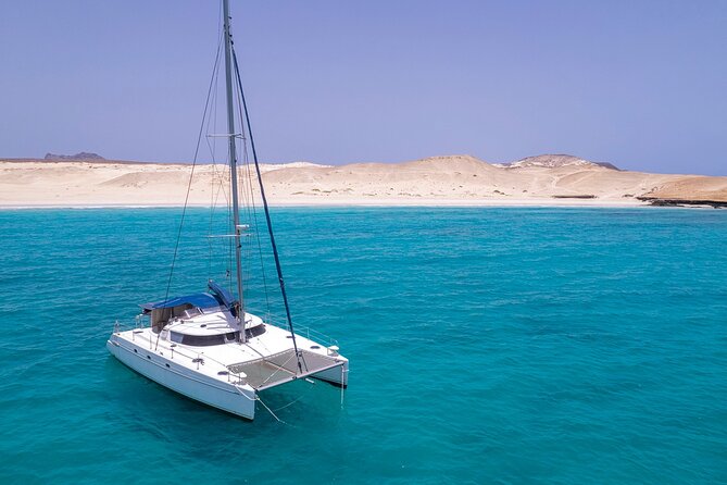 Catamaran Sailing Tour or Whale Watching at Boa Vista - Winter whale watching under sail