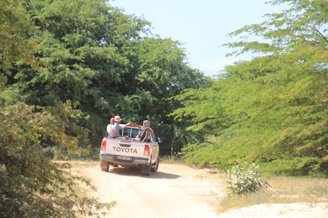 Combi Relax Tour - Varandinha’s limestone caves and west-coast views