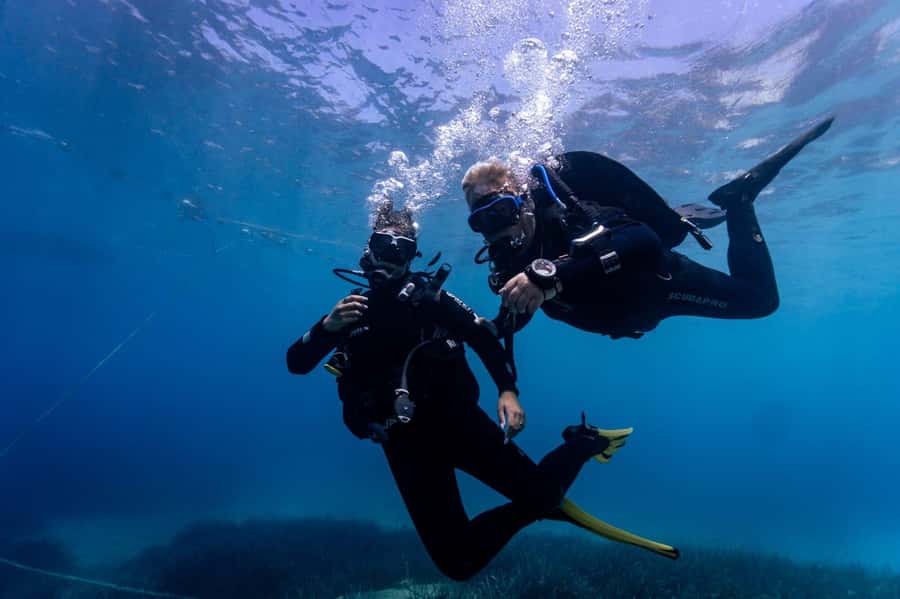 Discover Scuba Diving for beginners - What happens during the theory lesson