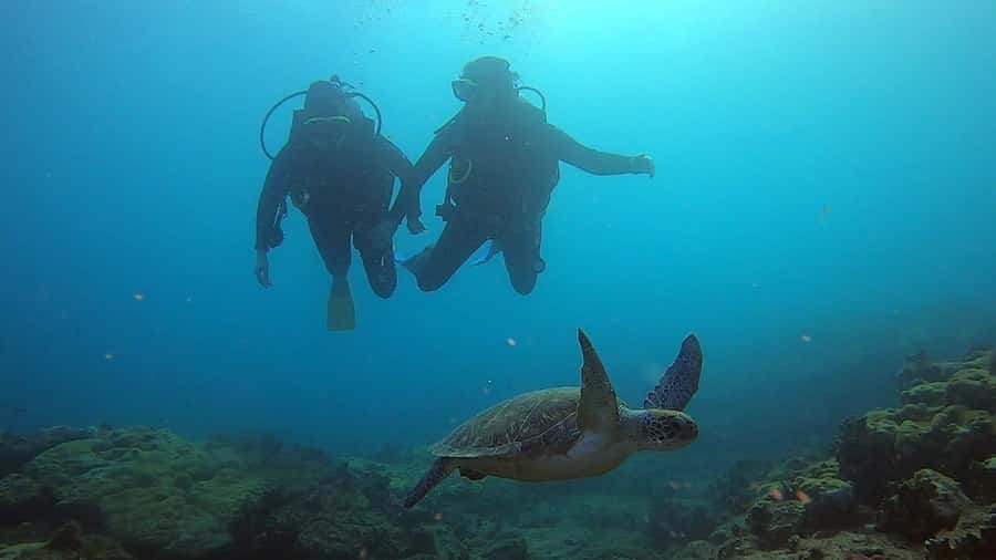 Discover Scuba Diving Program for Beginners - Shallow water practice before the sea