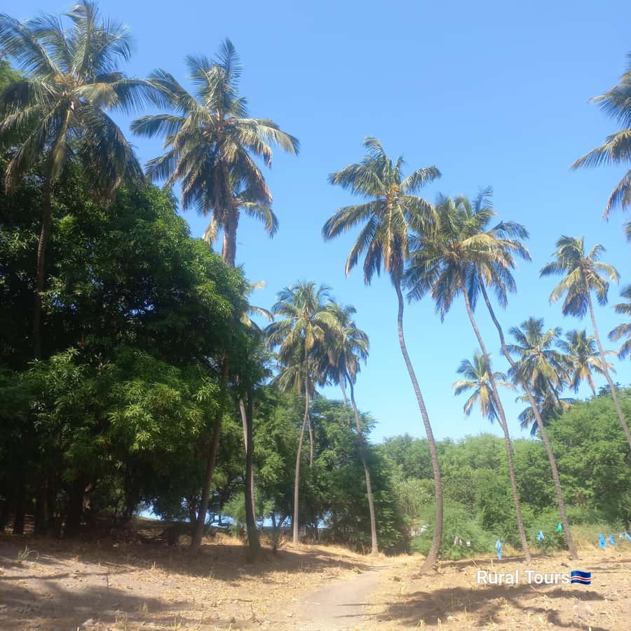 Discover the Black Sand Beach+the Natural Pool - Who will enjoy Ribeira das Prata most?
