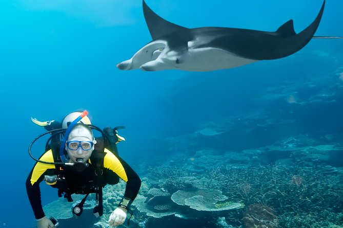 Double Diving in Sal Island - Half Day - Who should book this Sal experience