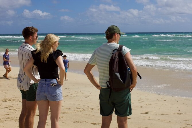 Exclusive Sal Island - Full Day Personalized for You - Shark Bay and the small lemon sharks