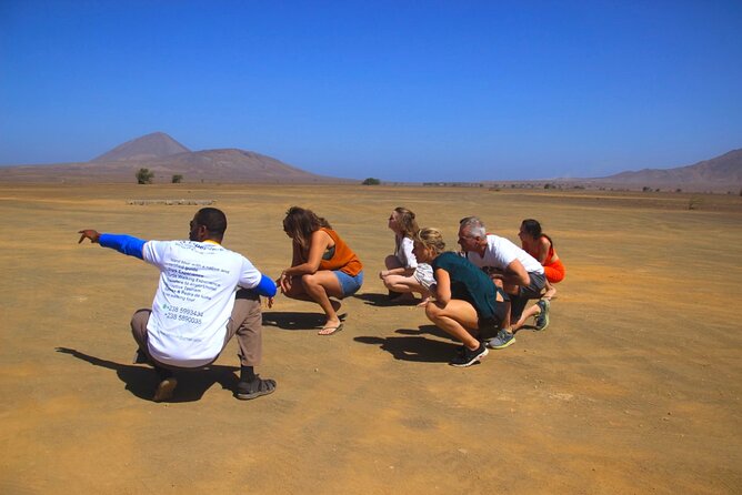 Experience on Sal Island with native and certified guide (including sharks) - Shark Bay and the small lemon sharks