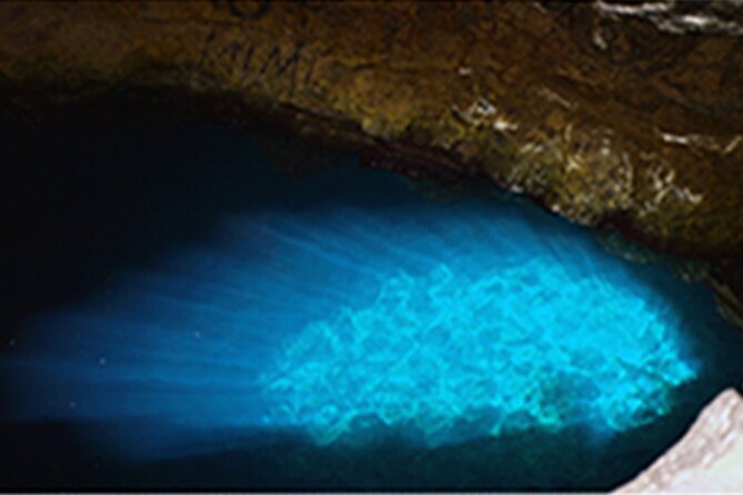 Experience on Sal Island with native and certified guide (including sharks) - Palmeira: fishing boats, painted houses, and working life