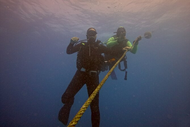 First Diving Experience Try Dive - Reefs and Sal’s marine life