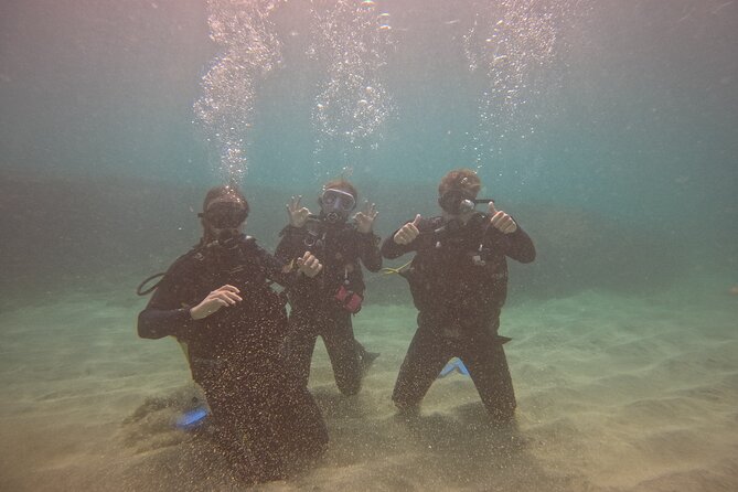 First Diving Experience Try Dive - The private format and the one important limitation