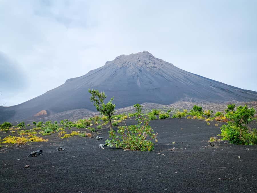 Fogo Island: Pico do Fogo Volcano Summit Hike - Why Pico do Fogo is worth the effort