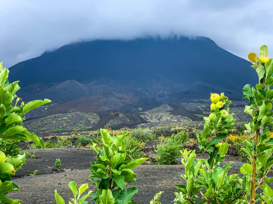 Fogo Island: Pico do Fogo Volcano Summit Hike - The three to four hour climb to 2,829 meters