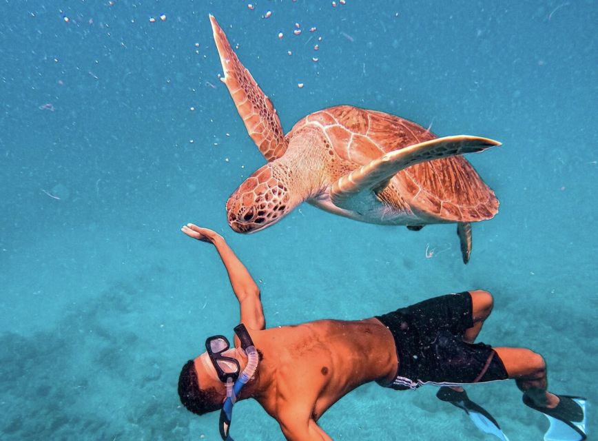 From Mindelo: São Vicente's Enchanting Sea Turtle Snorkeling - Is $70 a fair price from Mindelo?