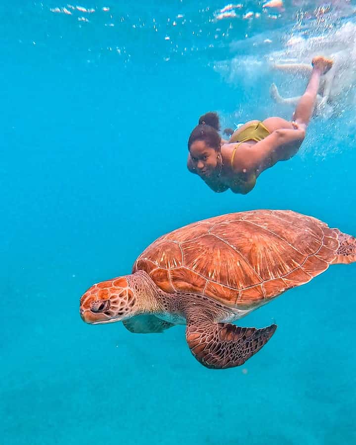 From Mindelo: Snorkel and Swim with Sea Turtles - Meeting the turtles beside the boat