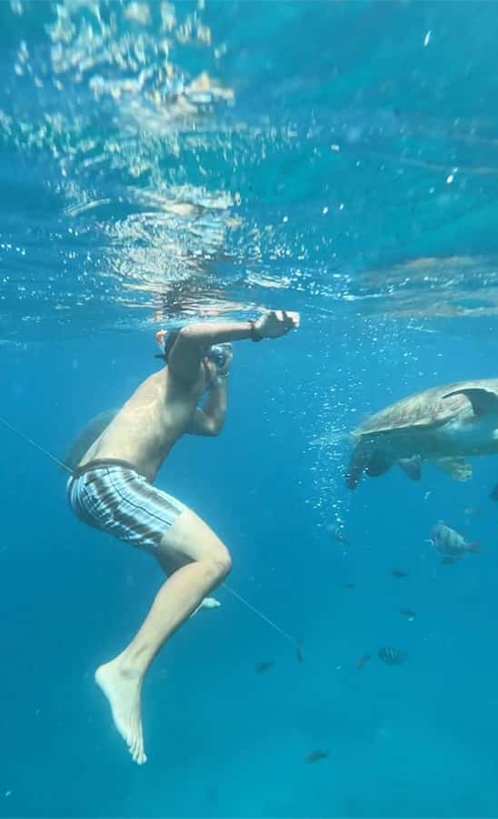 From Mindelo: Snorkel and Swim with Sea Turtles - Why the wildlife rules are important