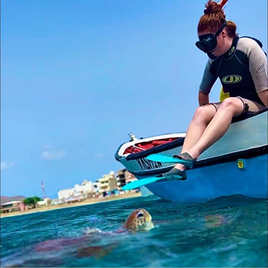 From Mindelo: Snorkel and Swim with Sea Turtles - Who will enjoy this turtle encounter most?