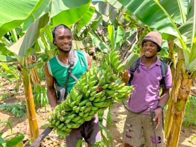 Banana Plantation Tour and Cuscuz Workshop
