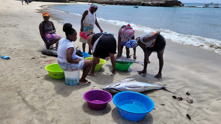 From Praia: Explore the island with local Tour guide - Serra Malagueta at 800 Meters