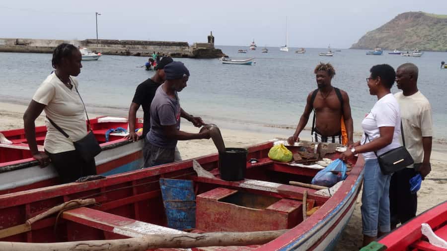 From Praia: Explore the island with local Tour guide - The East-Coast Road Back to Praia