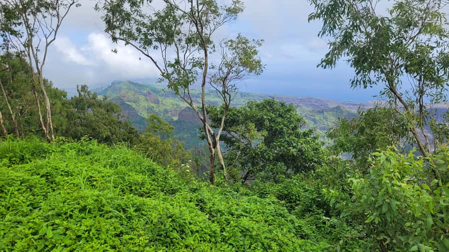 From Praia: Explore the island with local Tour guide - What the Guide Adds to the Day