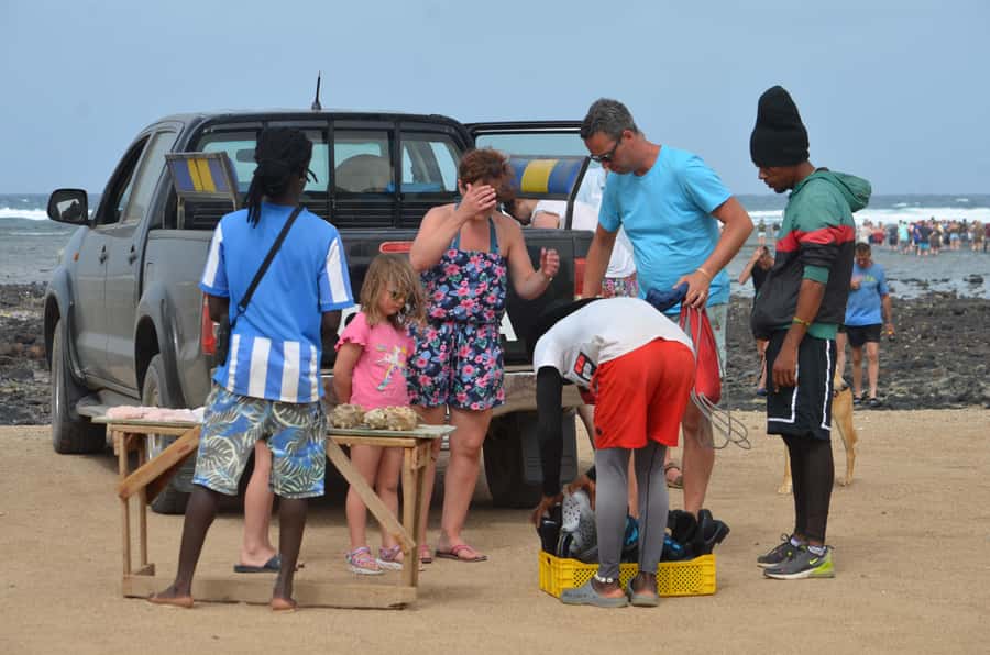 From Sal Island: Blu eye, Salt lake, Lemon Sharks & Palmeira - Shark Bay: the stop you will remember