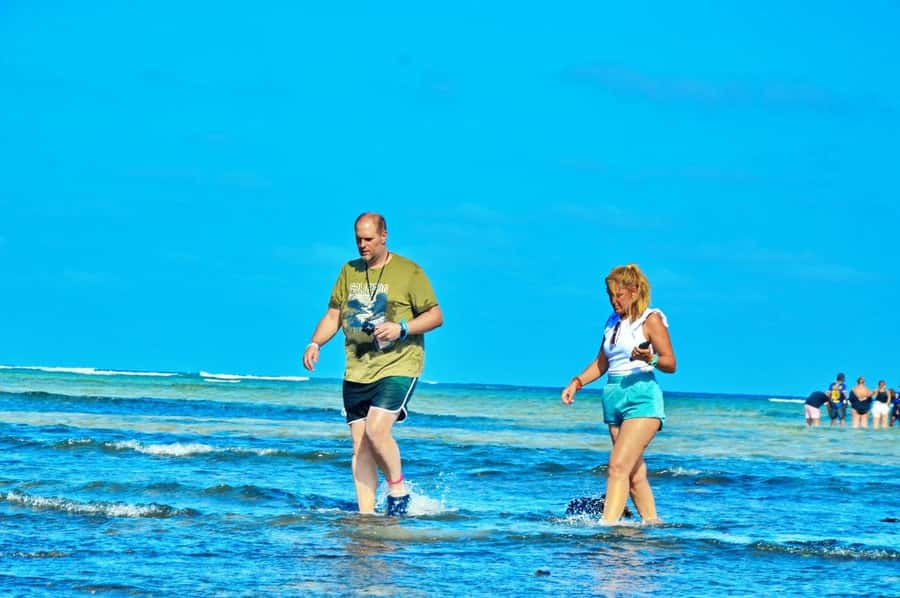 From Sal Island: Blue Eye, Salt Lake, Lemon Sharks, Palmeira - Why this tour works as a first day on Sal