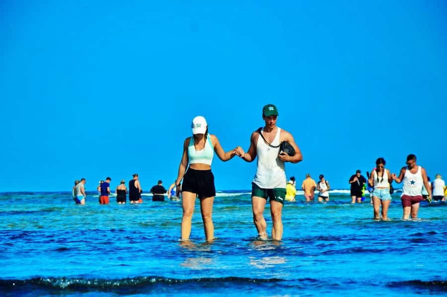 From Sal Island: Blue Eye, Salt Lake, Lemon Sharks, Palmeira - Terra Boa and its famous mirage