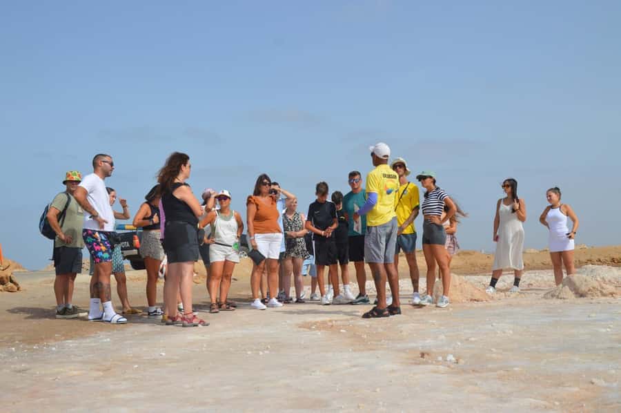 From Sal Island: Blue Eye, Salt Lake, Lemon Sharks, Palmeira - Shark Bay: the tour’s main event