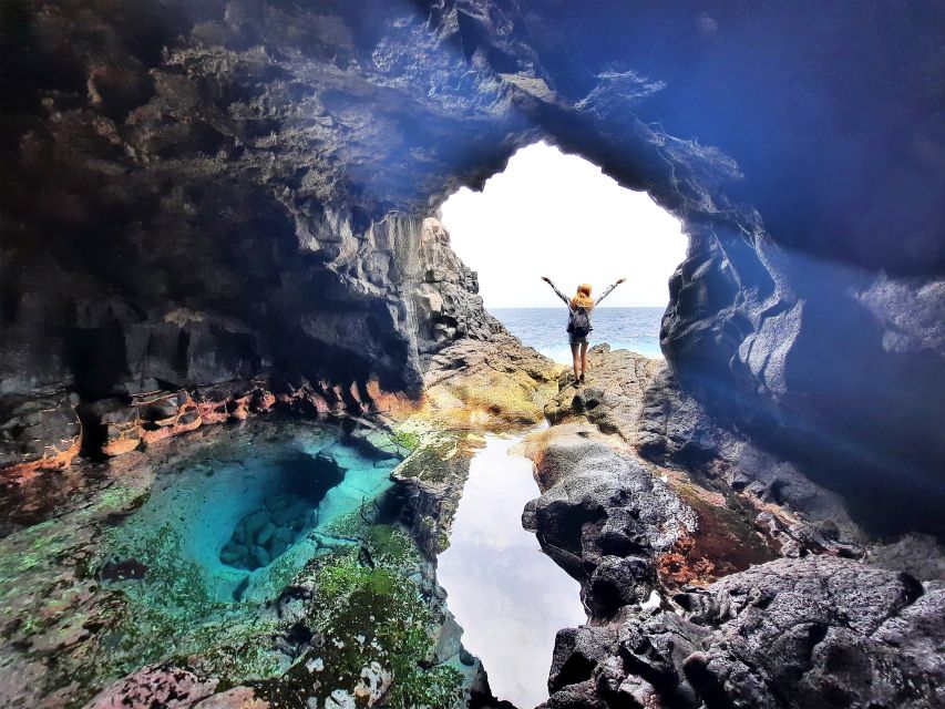 From Santa Maria: Natural Pools & Shark Bay Private Day Trip - Private transport makes the $88 price easier to judge