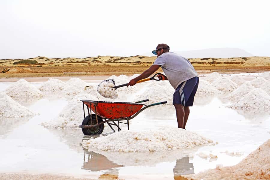 From Santa Maria: Sal Island Private Day Trip - Palmeira offers a short taste of island life