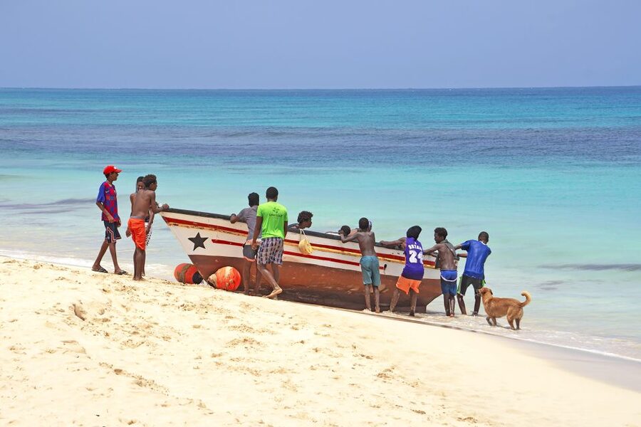 From Santa Maria: Sal Island Private Day Trip - Shark Bay puts lemon sharks within walking distance
