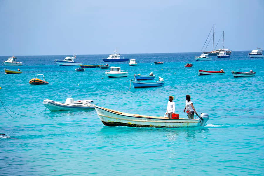 From Santa Maria: Sal Island Private Day Trip - Price, extra costs, and overall value