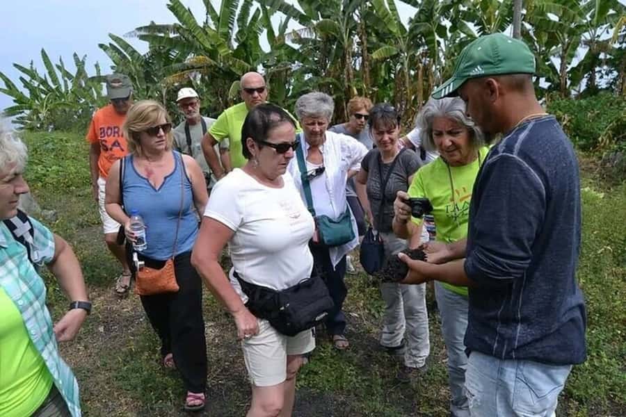 From São Filipe: Crater, Tastings & Historic Villages Tour - Lava trails that show how the island changed