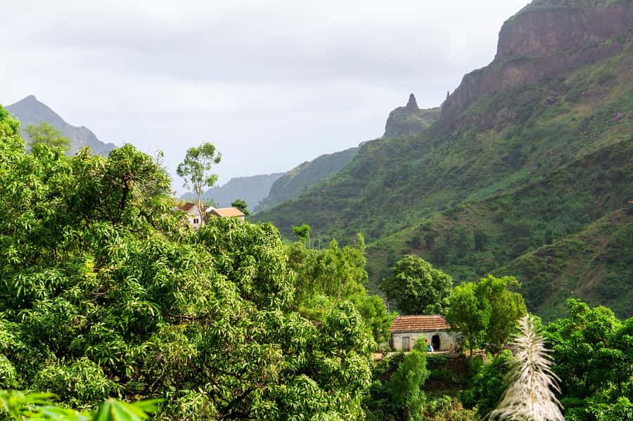 From Tarrafal: Serra to Principal Hike & Lunch with locals - Serra Malagueta’s plants, animals, and high views