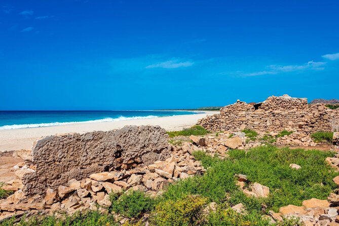 Full Day Boa Vista Island Guided 4X4 Tour with Beachfront Lunch - Rolling across the Viana Desert