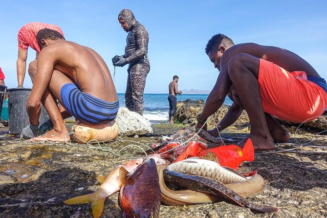 Full Day Island Tour, Highlights of São Vicente - Fish and produce markets show everyday Mindelo