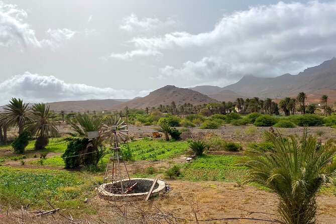 Full Day Island Tour Sao Vicente - What the $116.28 price really covers