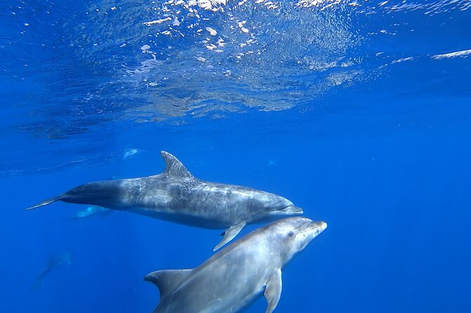 Full day Sailing yacht - Beautiful day on the Atlantic Ocean - Who will enjoy Lucy most?