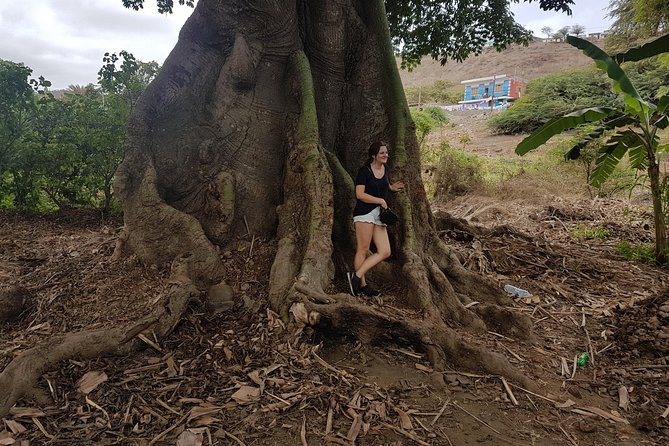 Full Day Santiago Island Tour - Why private transport changes the day