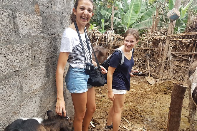 Full Day Santiago Island Tour - The botanical garden and the farming side of Santiago