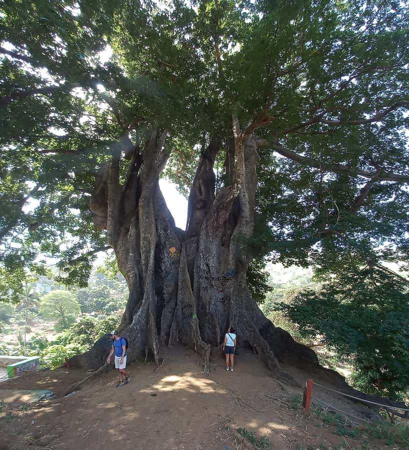 Full-Day Santiago – Villages, Nature & Local Culture - From Praia to São Domingos and the Orgãos mountains