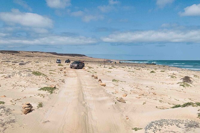 Full Day South to Southwest Exploration in Boa Vista Island - Rabil and the island’s surprising green side