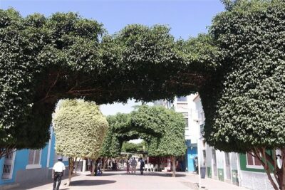 Guided City tour Praia with Cidade Velha (World Heritage)
