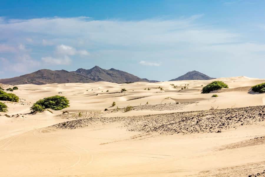 Half Day 4x4 Tour with Viana Desert and Villages - Rabil and the faded Church of Saint Roque