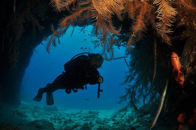 Half-Day Diving in Sal - What Makes This Sal Experience Worth Considering