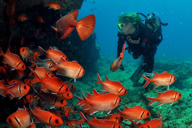 Half-Day Diving in Sal - Meeting the Team at 8:30 a.m.