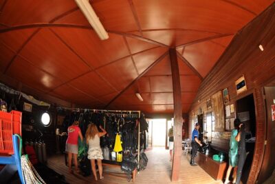 Half-Day Diving in Sal