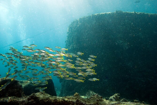 Half-Day Diving in Sal - Who Will Enjoy This Most?