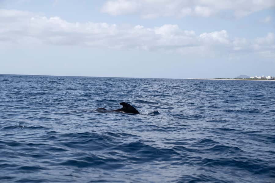 Half-Day Sailing Yacht Adventure in Sal Island - 3 hours - Setting sail from Santa Maria